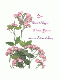 Greeting Card Image